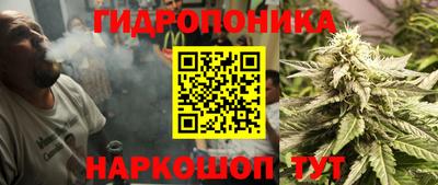 хмурый Будённовск