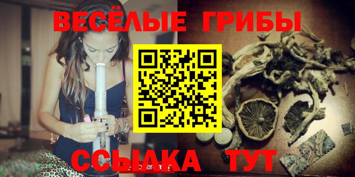 Псилоцибиновые грибы GOLDEN TEACHER  Вход с VPN  Можайск  Галлюциногенные грибы Magic Shrooms 